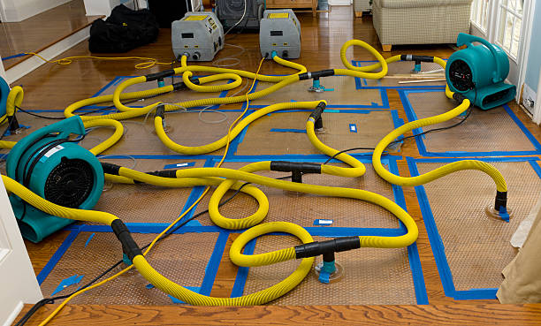Professional Burst Pipe Water Damage technician working in New Washington, IN
